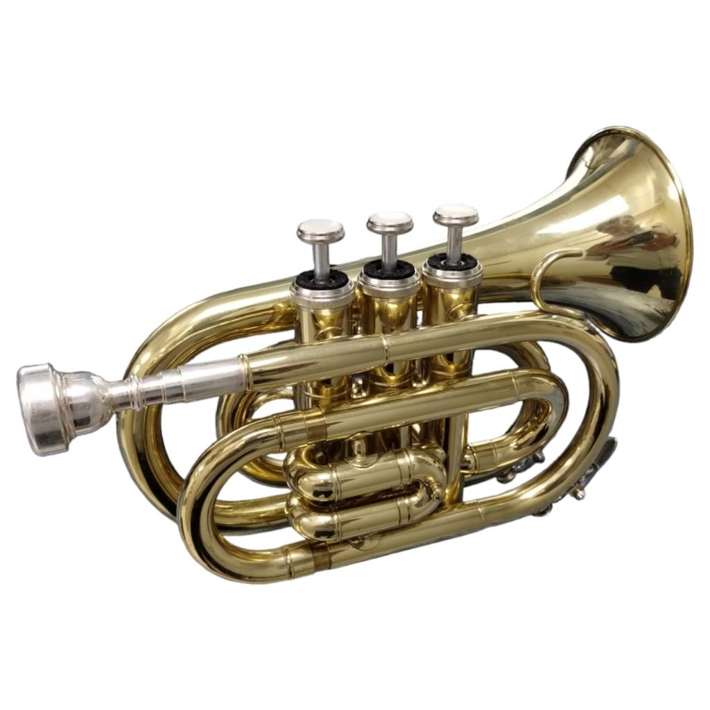 Saxofón Vicenzo, Alto