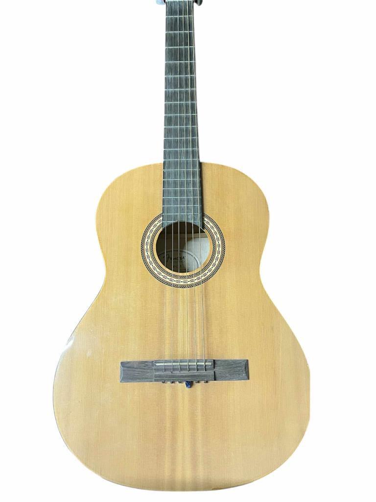 Guitarra Acústica Fender Fender