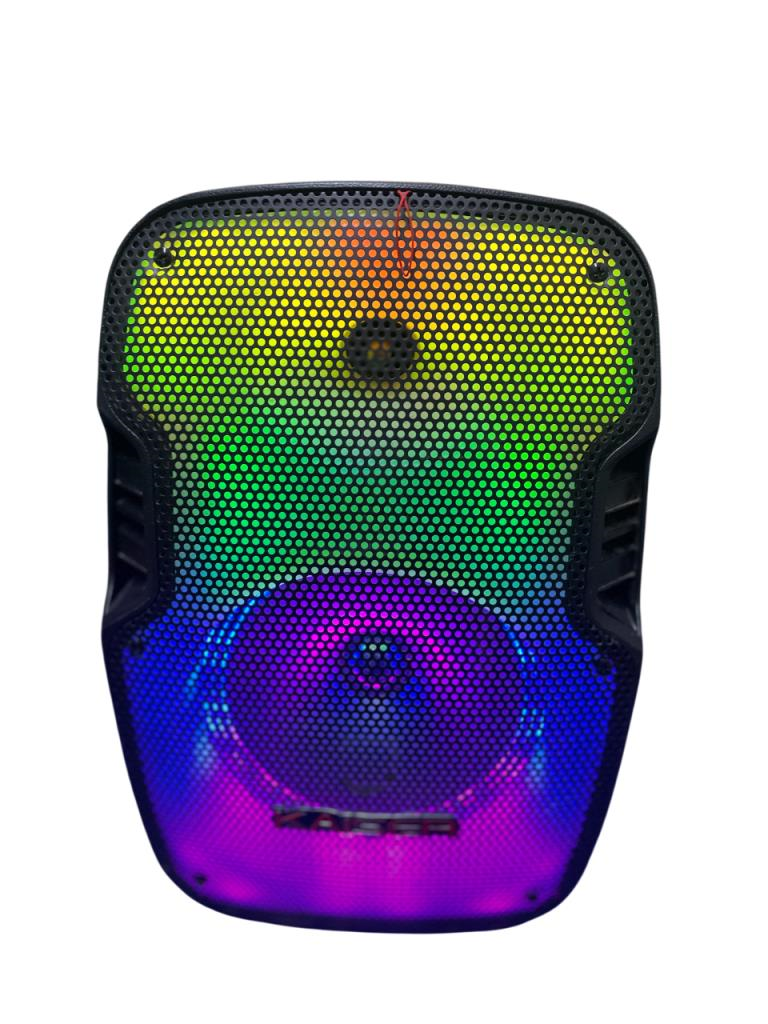 Bocina Amplificada 8" Kaiser (ksr)