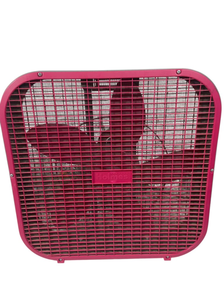 Ventilador De Piso Holmes, Chico
