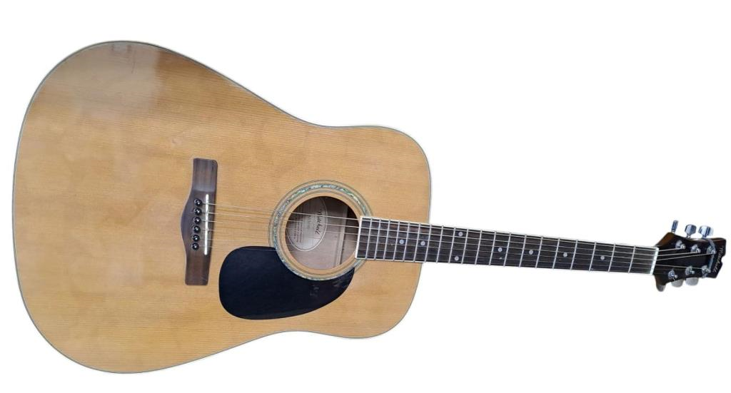 Guitarra Acústica Otra Mitchell